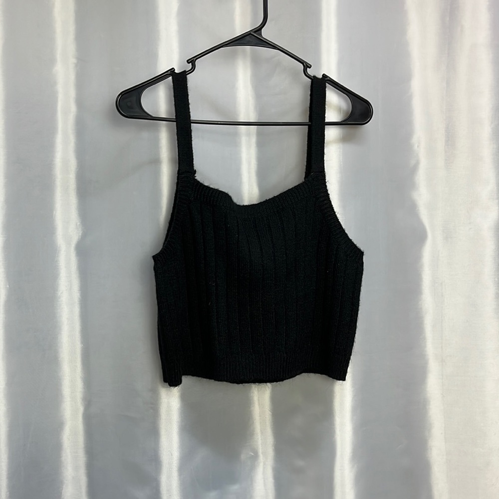 Wild fable crop top